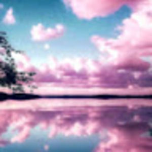 Meet your Posher, Savana